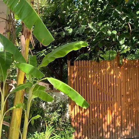 Da Grasso * Torre Forte